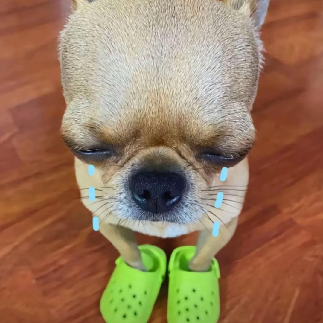 快乐