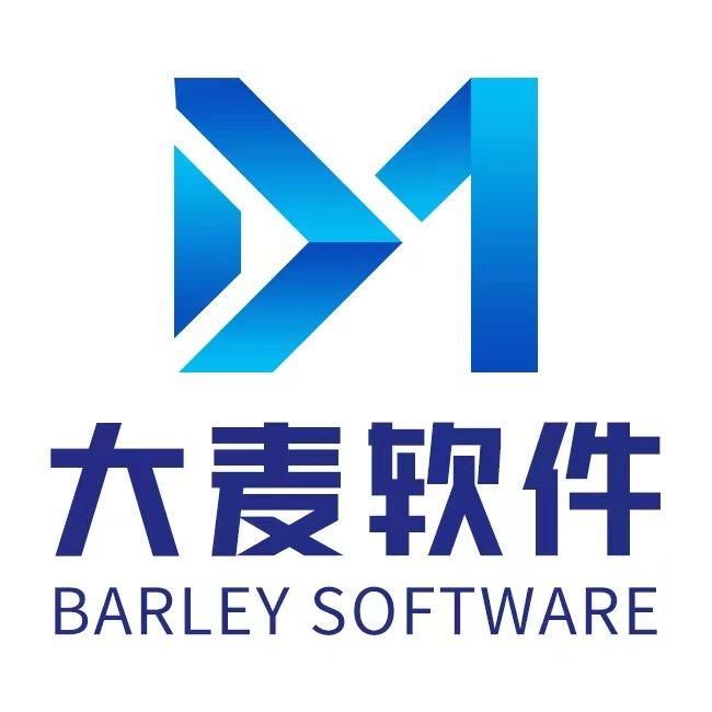 东莞大麦软件丨商业模式系统开发