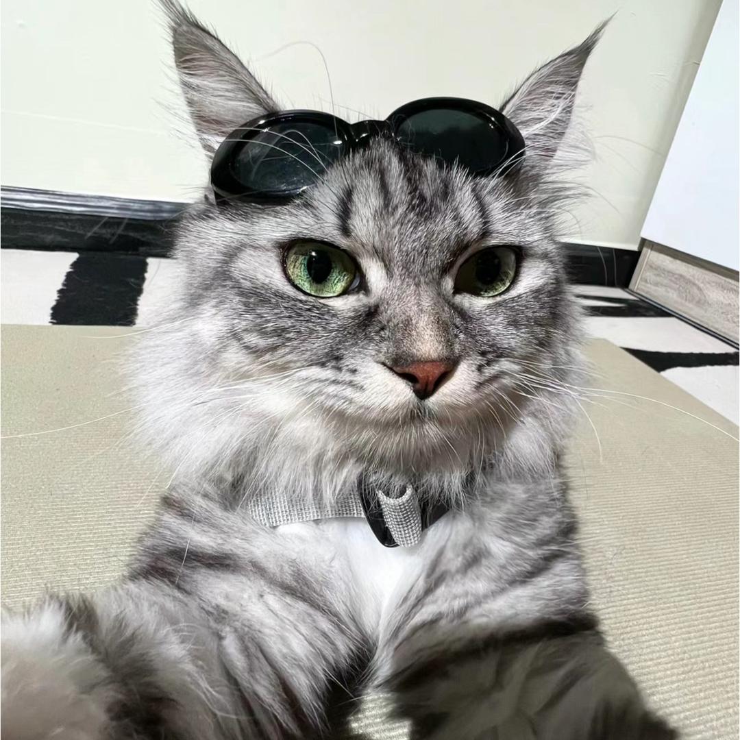 一博