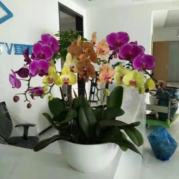 润菡园林绿化有限公司