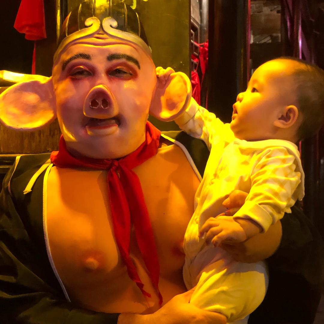 爱看猪猪侠的崽