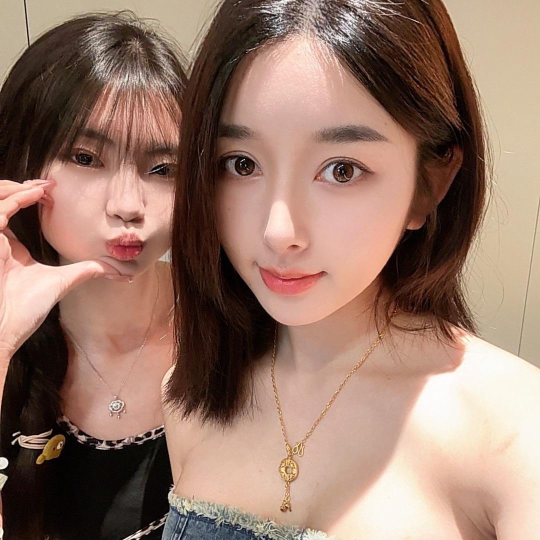 阿尔卑斯俩