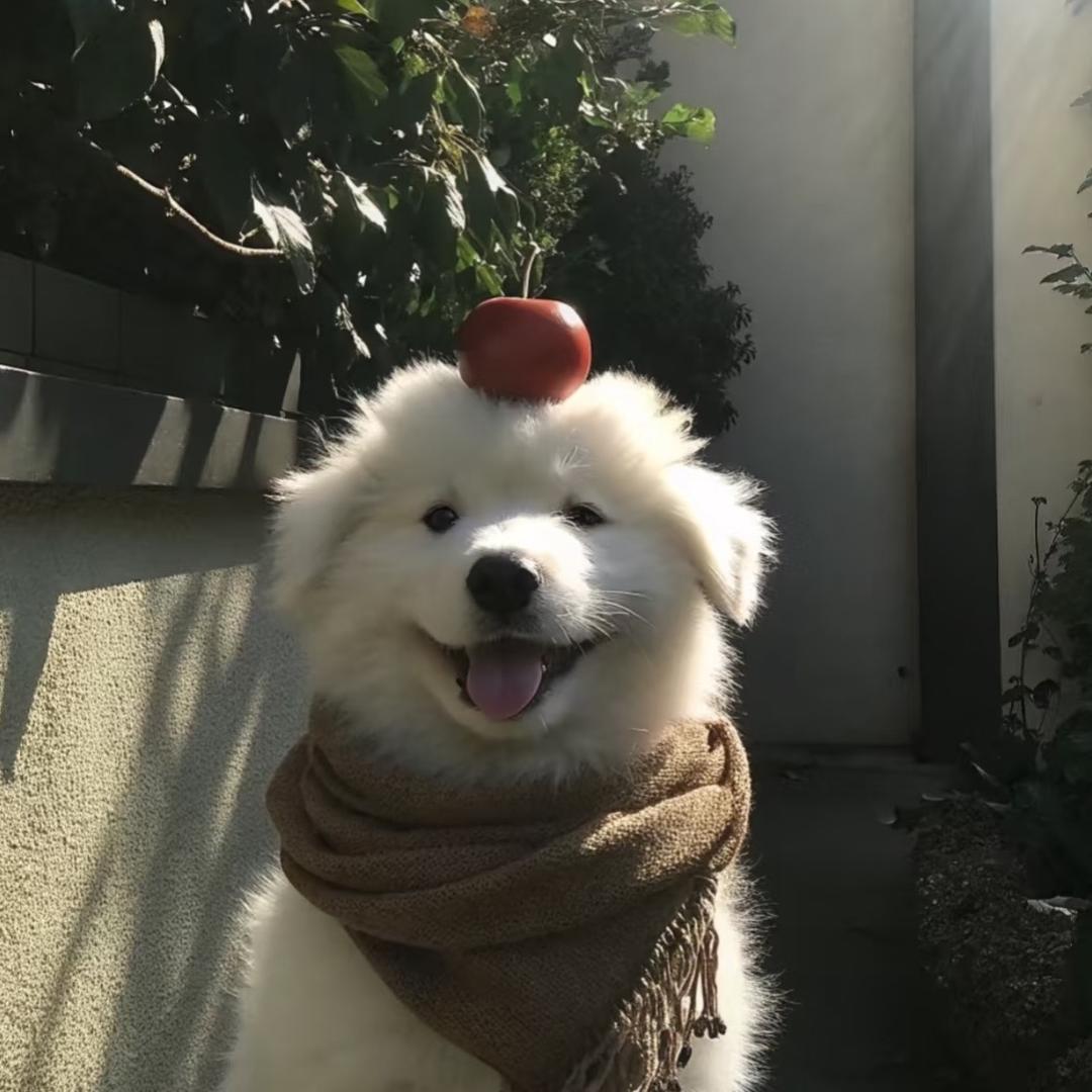 明月