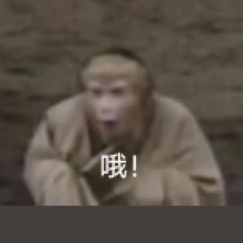 金刚兽