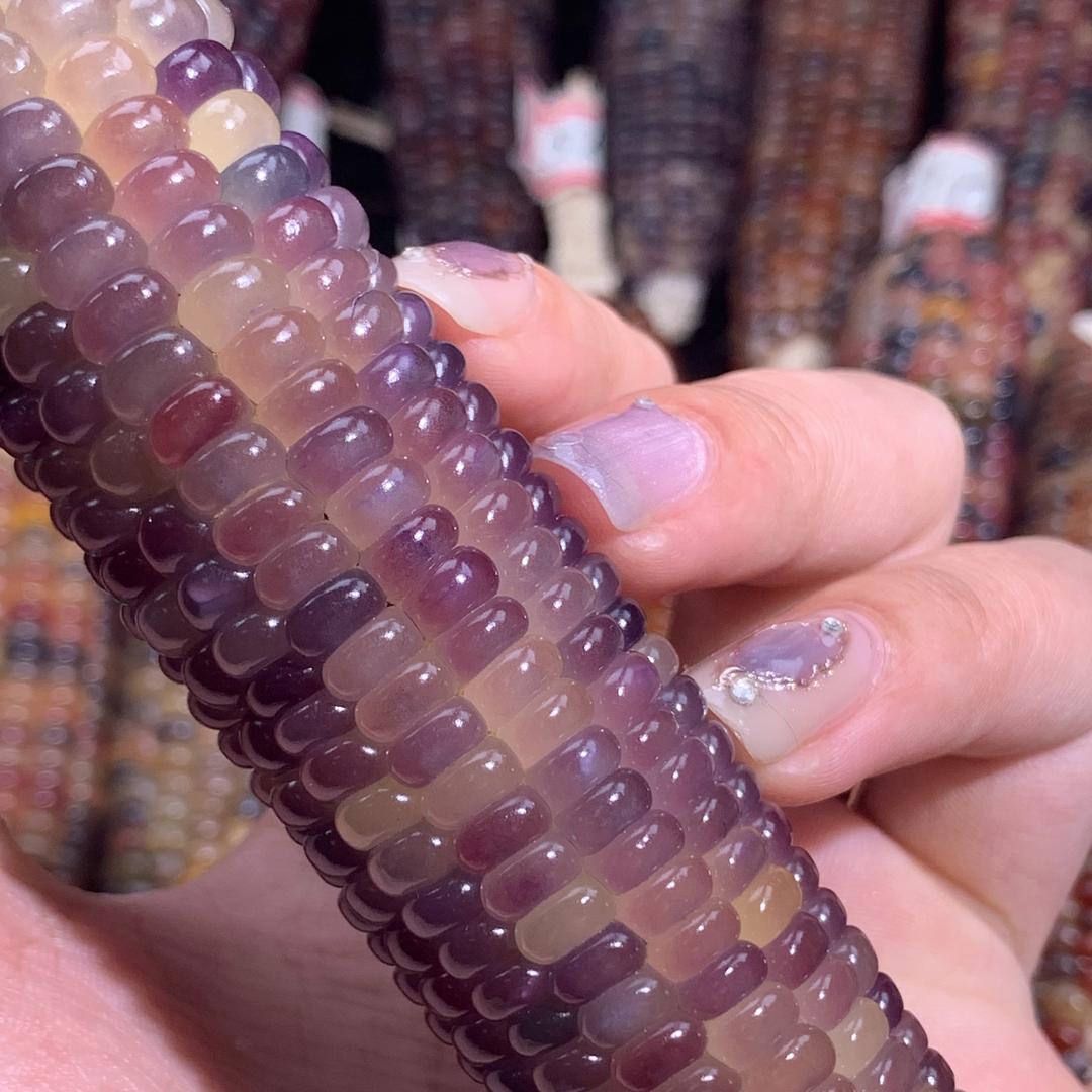 果匠的玉米坊五号店