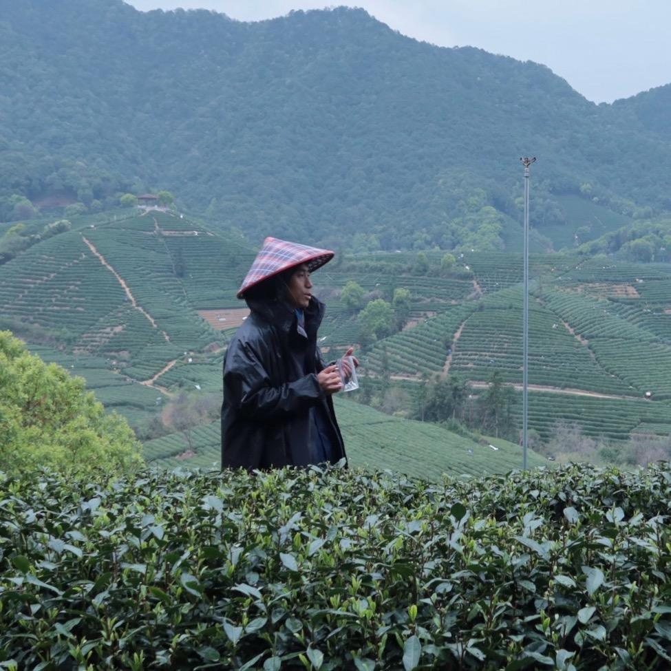 阿成茶事