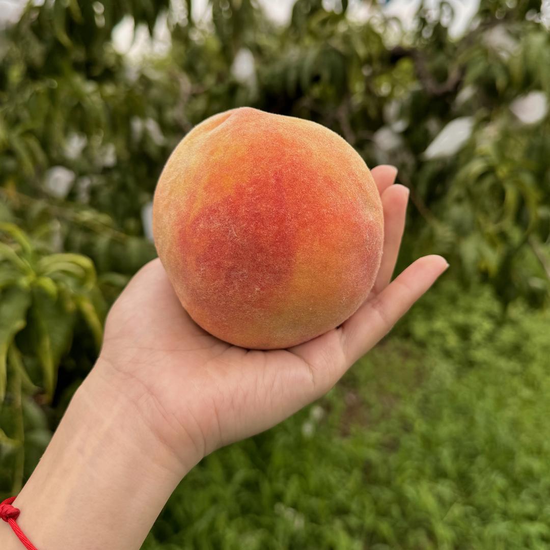 渝瑞小铺