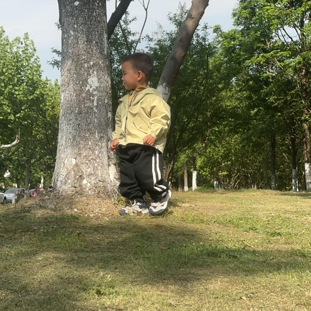 伟伟