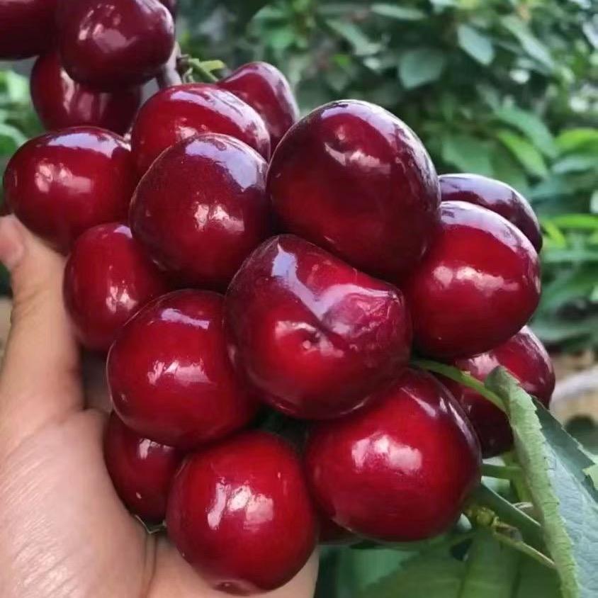 张米米🍒