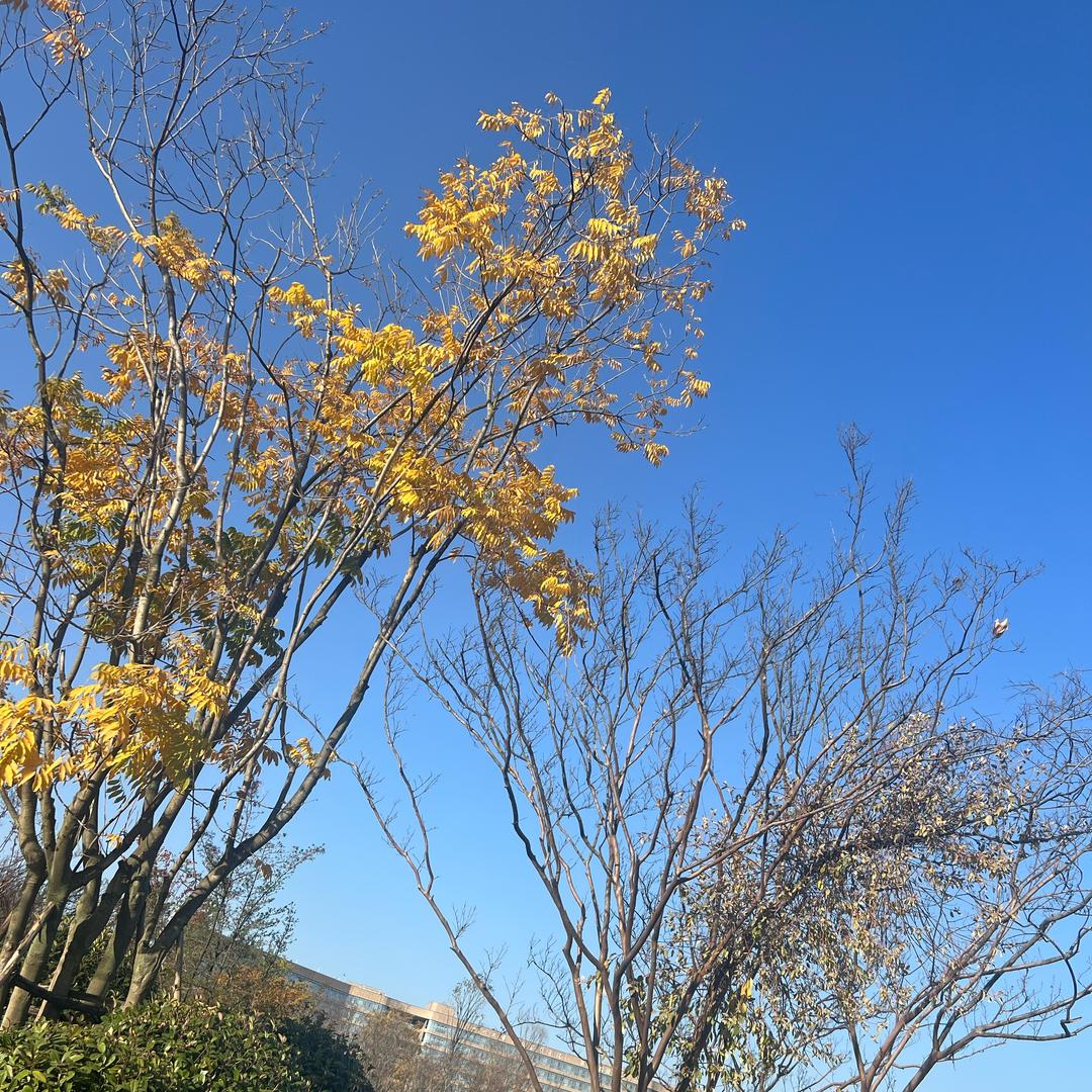 小茶馆