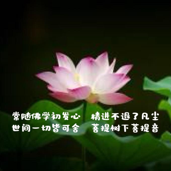 安静～云朵上的羌寨（明）