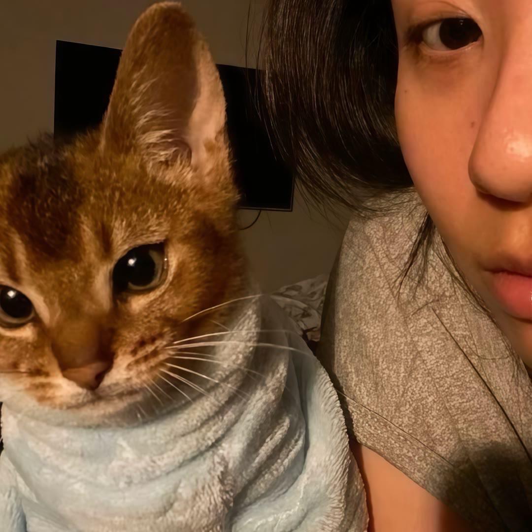 一拳干爆地球