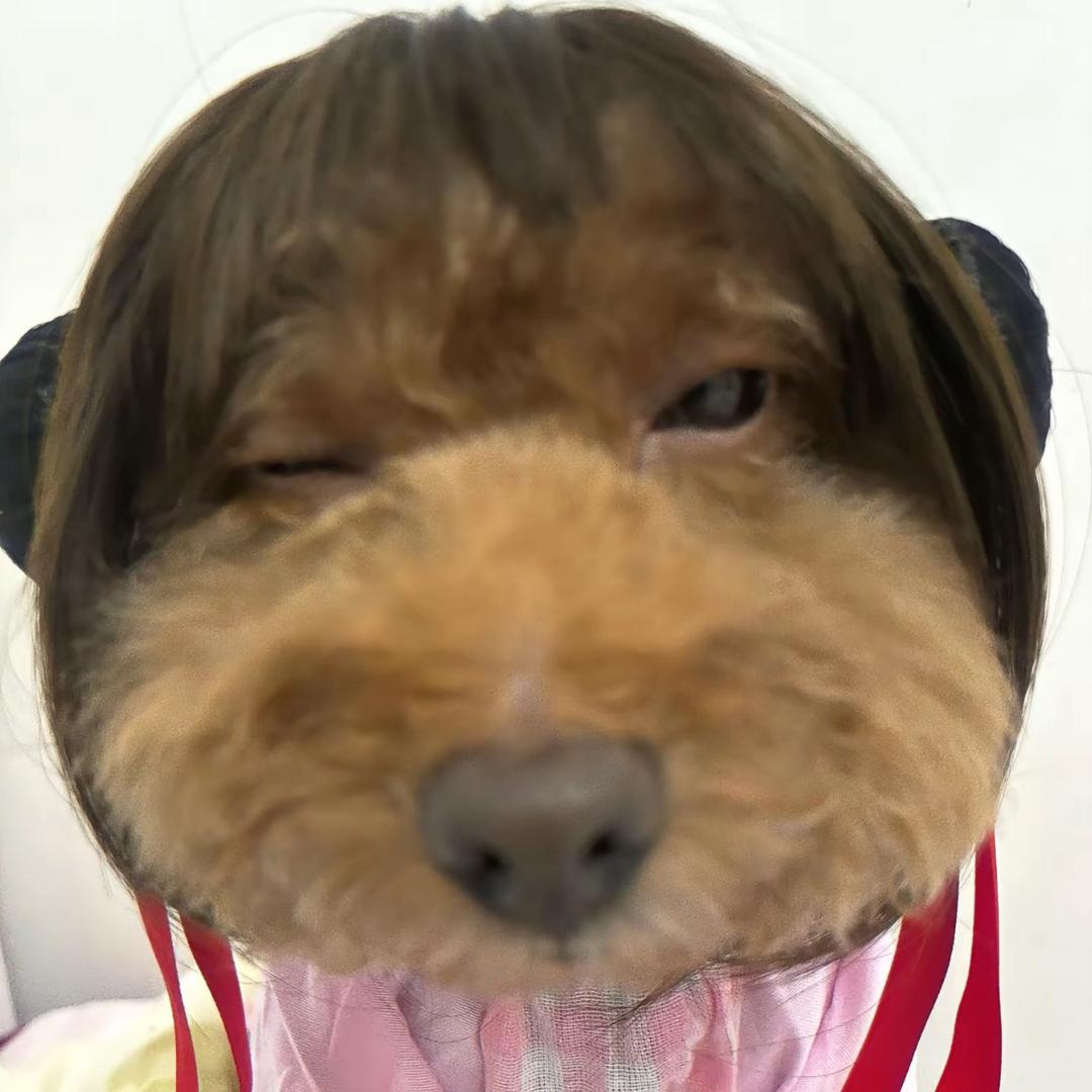 嘭圆汤🎒（直刷 💥代开装扮）