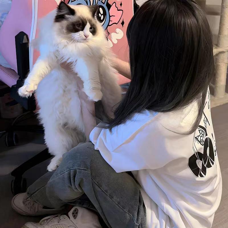 恭喜發財💰