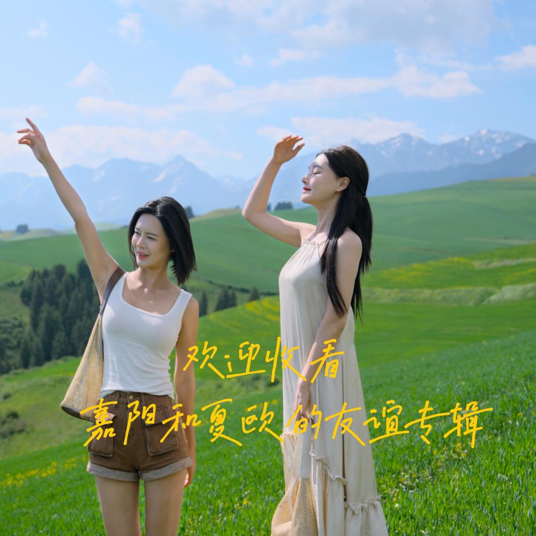 姐妹不奇怪