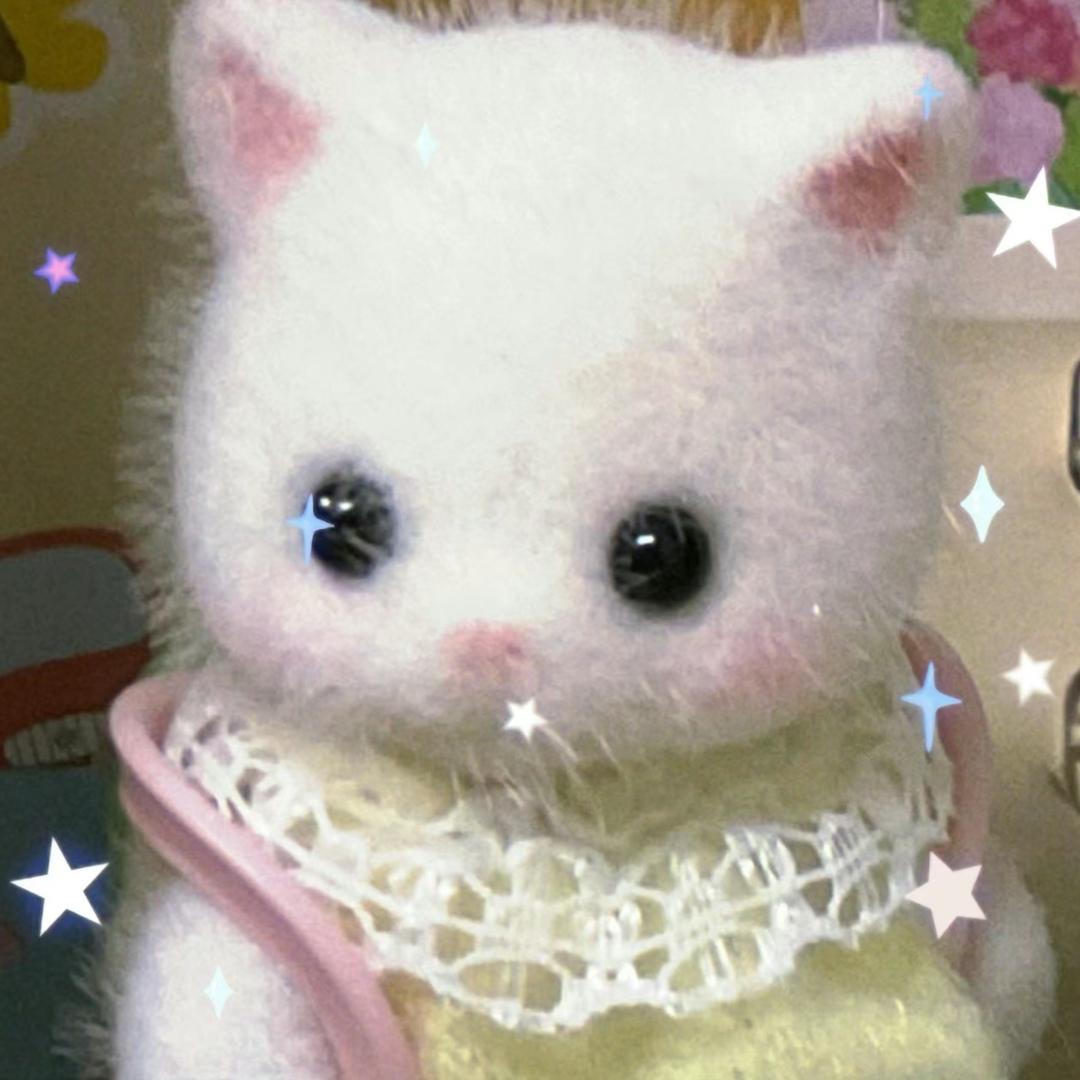 迷路小猫