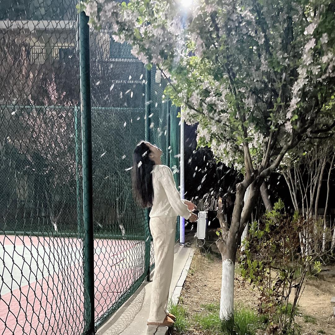 满阳🌸