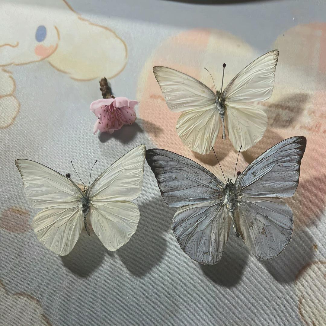 熊猫在自贡做破酥包