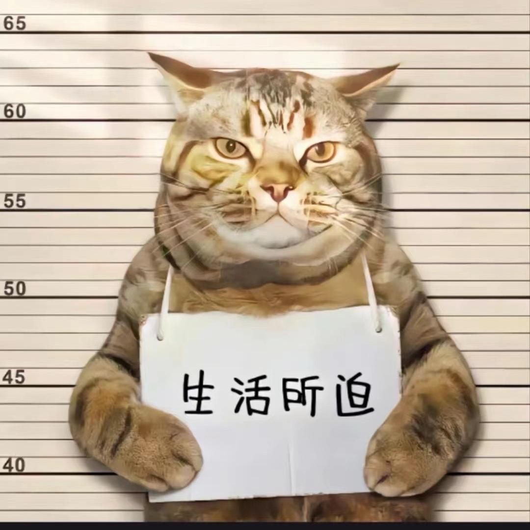 一步一步