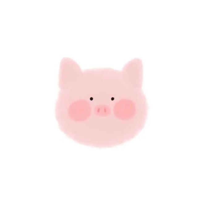 橙子宝贝🐷