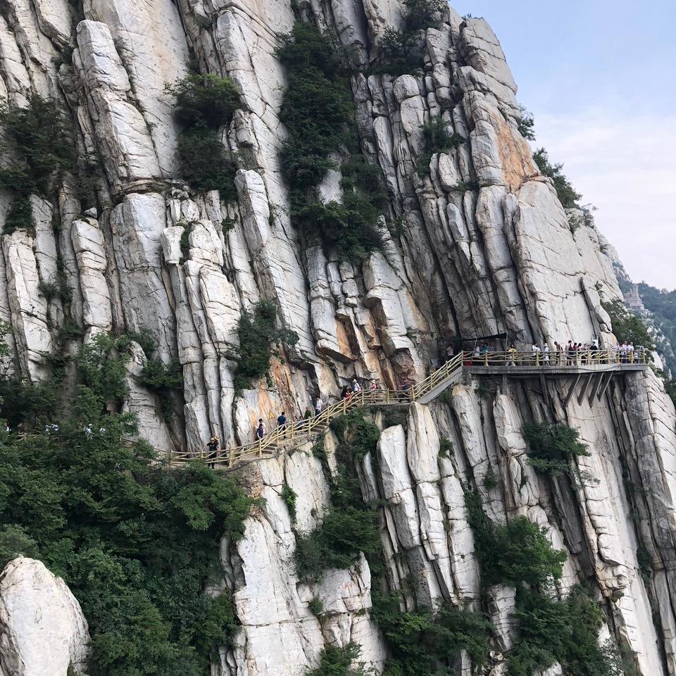 龙行天下