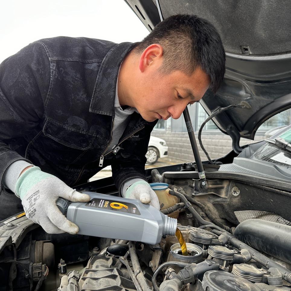 斑马狗养车