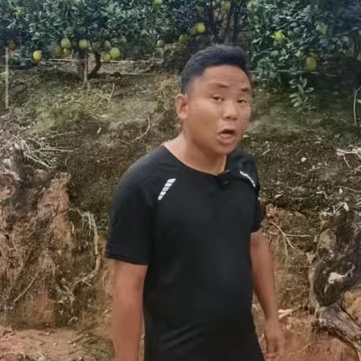 二果子