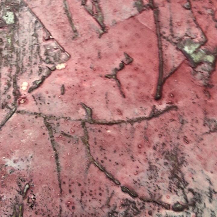 霞姐有话说
