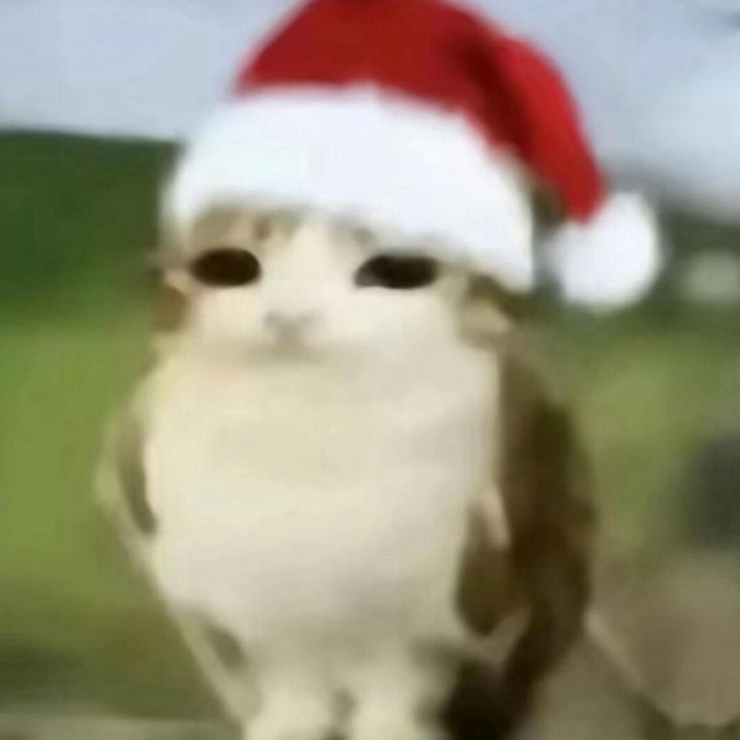 我爱一个魏魏酱> ಲ <