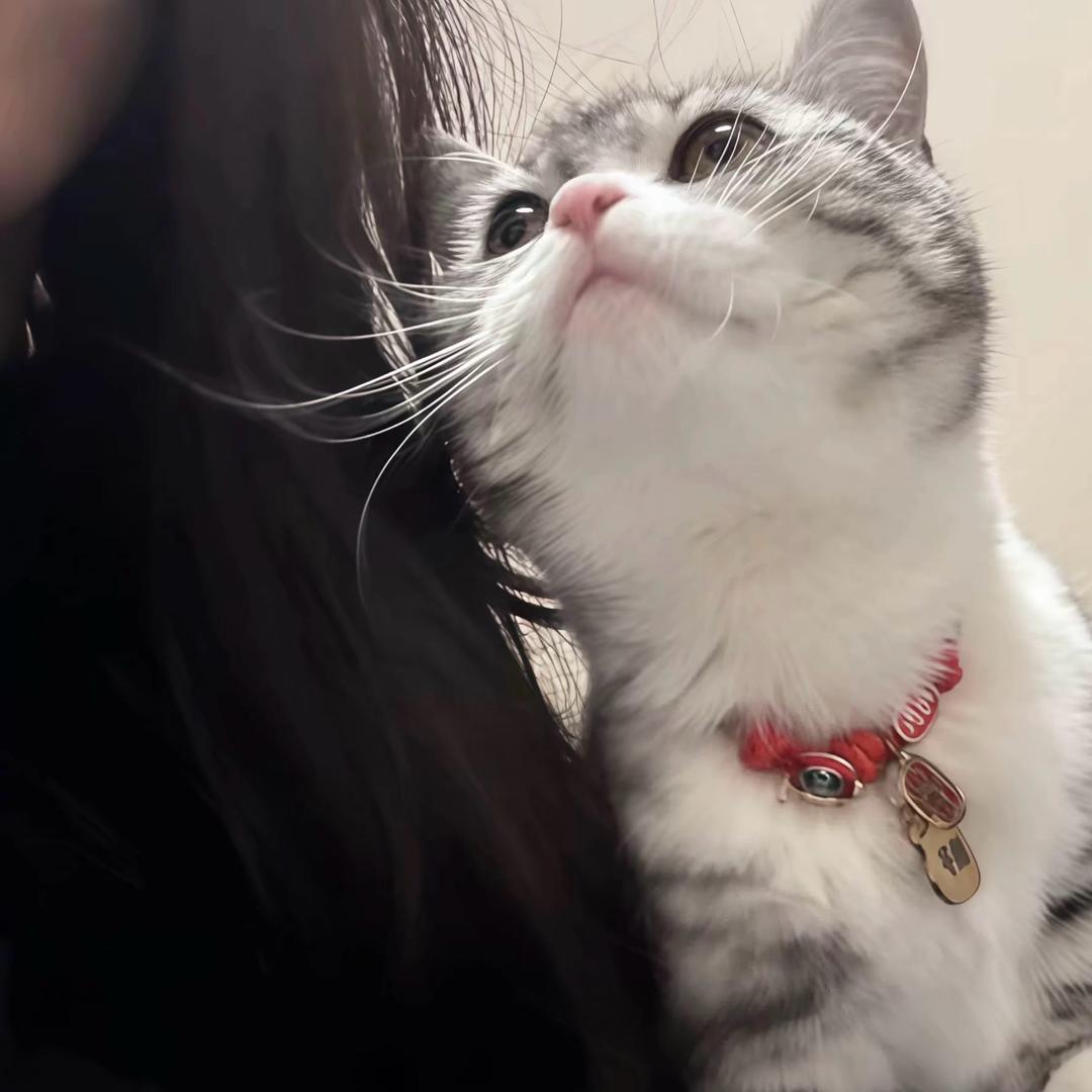 十月