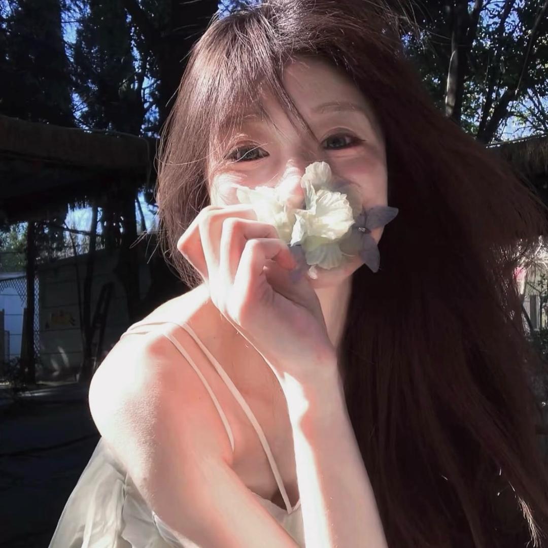 佳菲猫