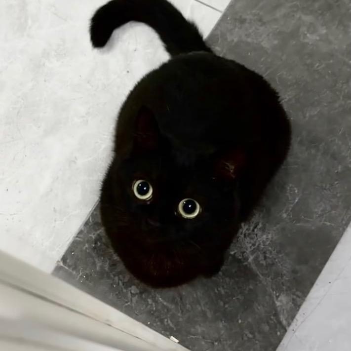 二嘎嘎嘎饿_🍦