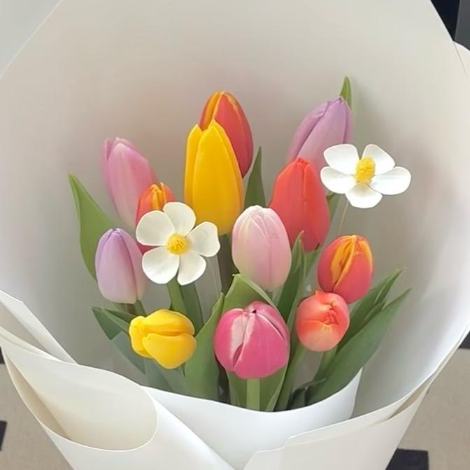 阿云云云云云云