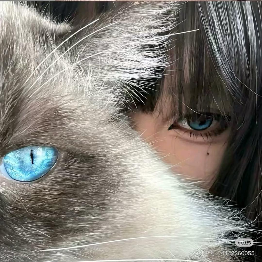 晚晚是嫩二蝶嘻嘻嘻
