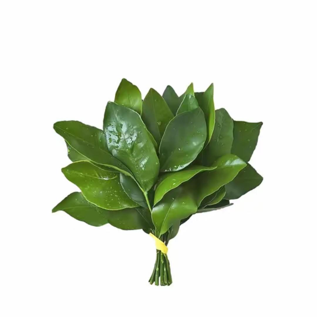 花汐花艺小tang🌸