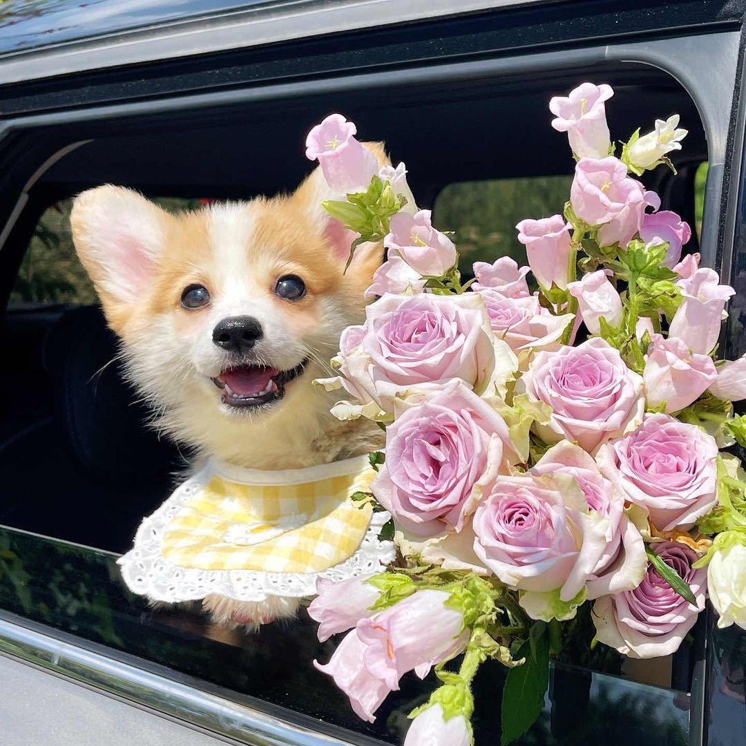 Hello: