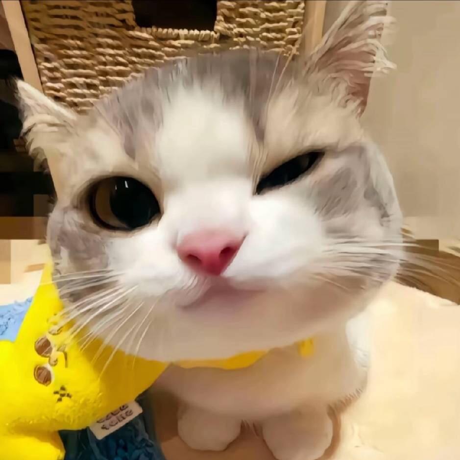 汤沙