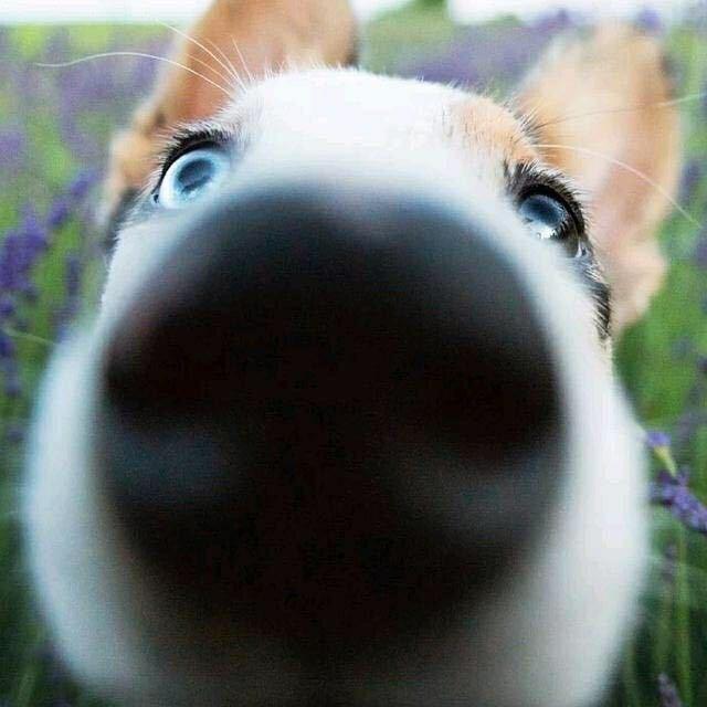 人丑就要多读书