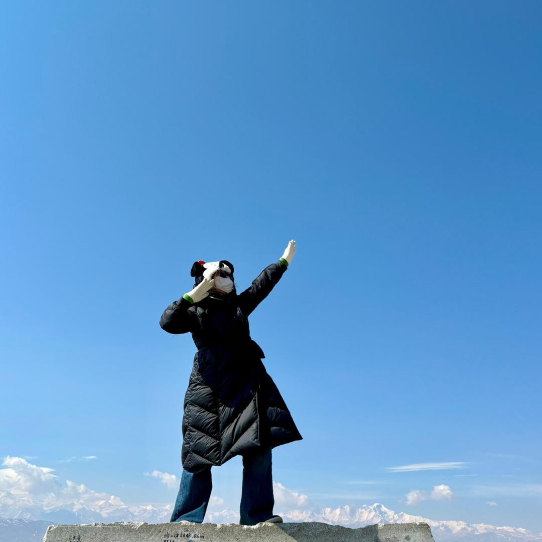 🫡旺旺仙贝