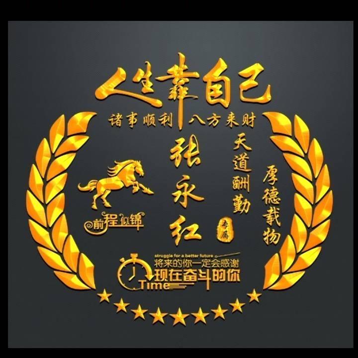 老张养鸽