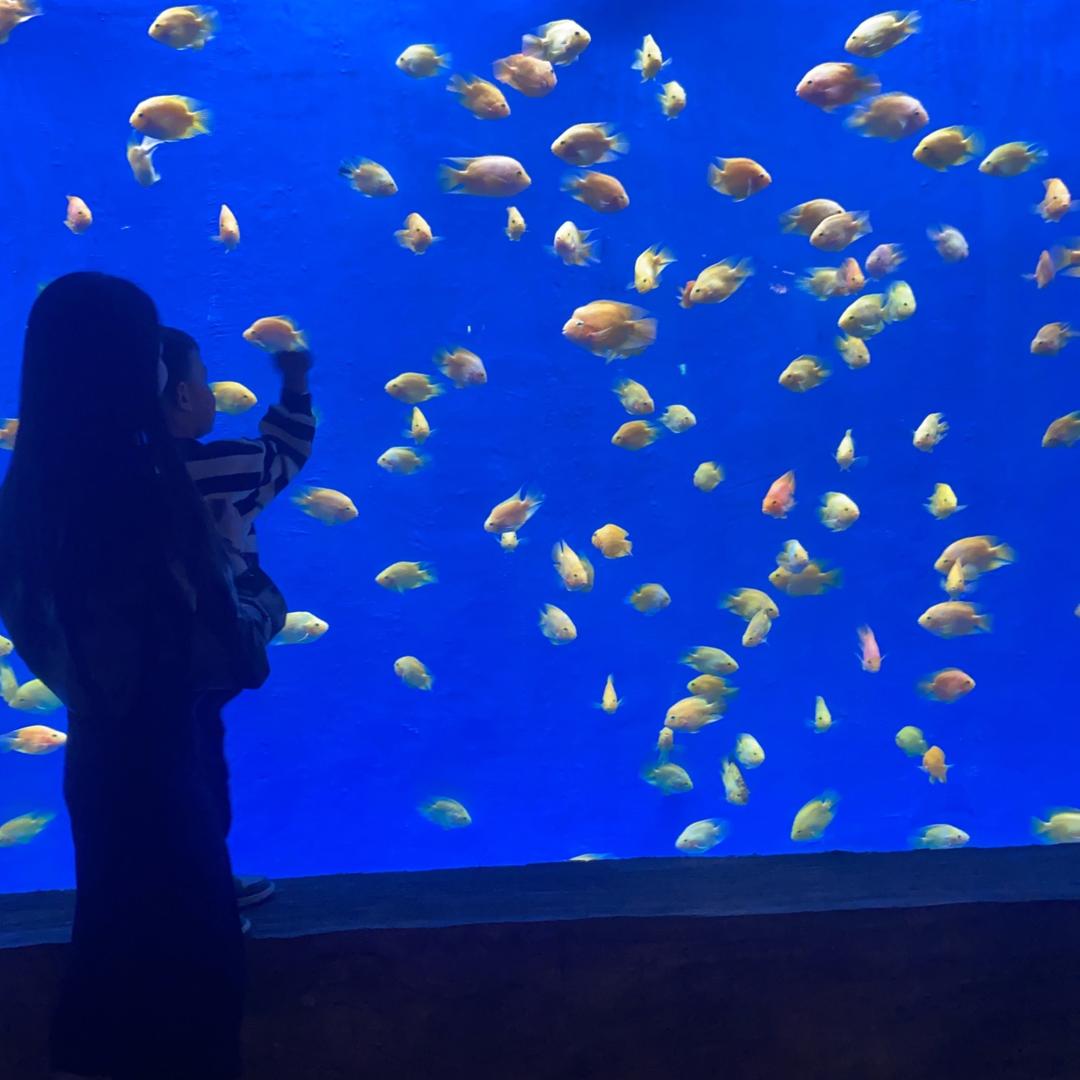 龙王恨渔具(白鹤坪）