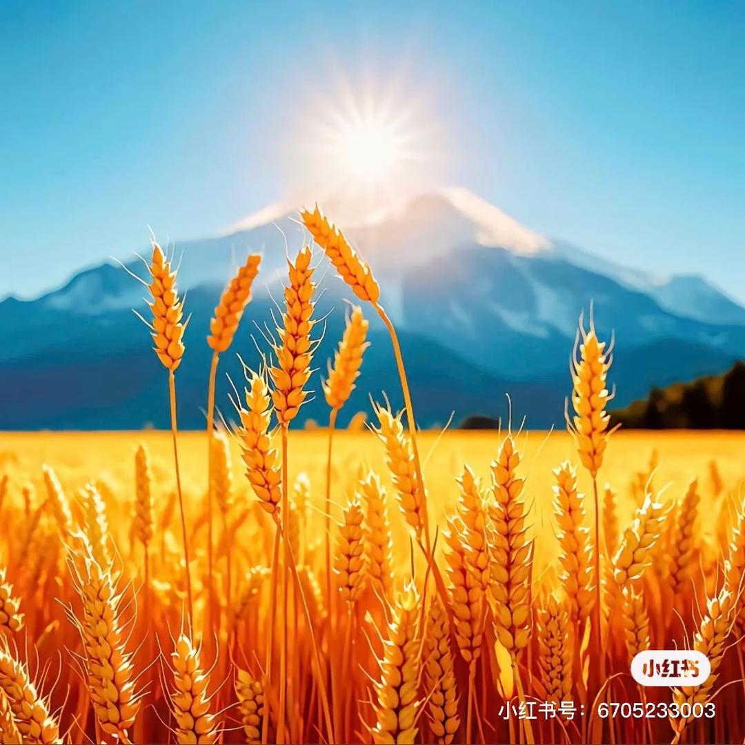 明亮眼镜(红河州商业广场店)梦想绿春律浦