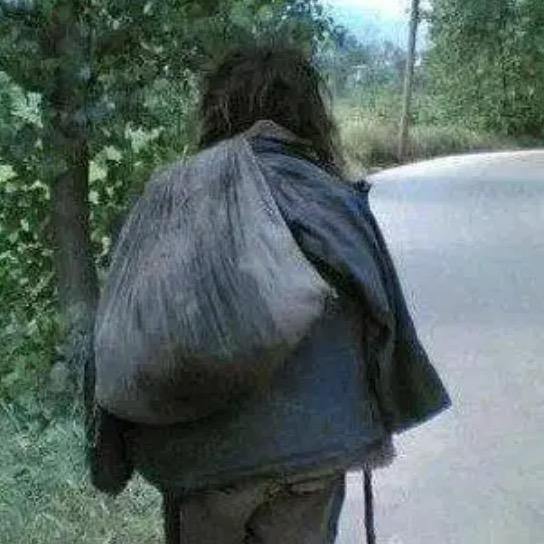 疯牛《浪迹天涯》