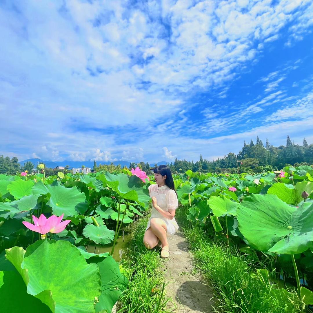 三妹儿🍀