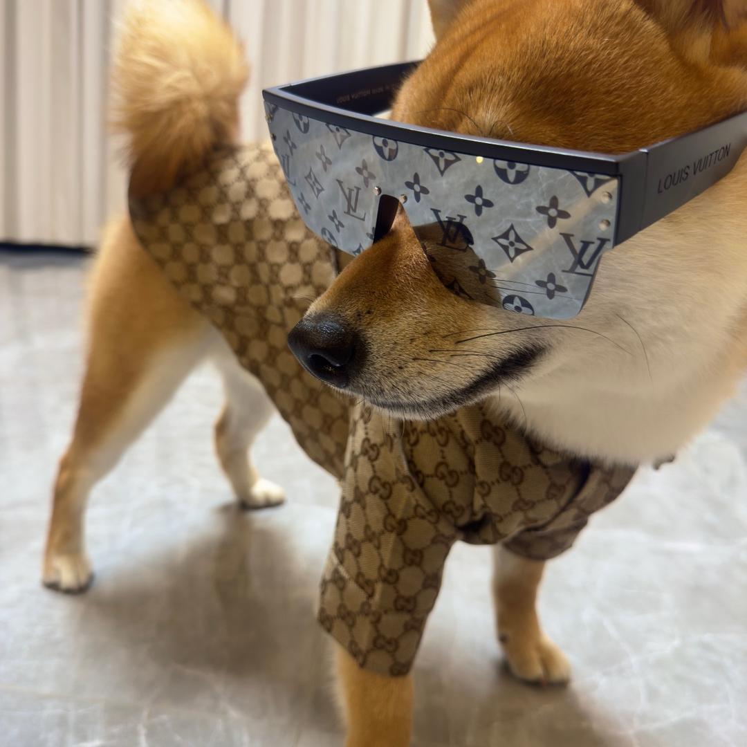 新之助