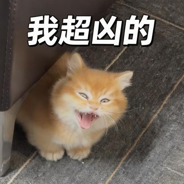 金滚滚