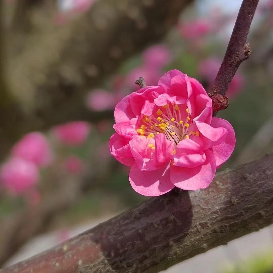 感悟