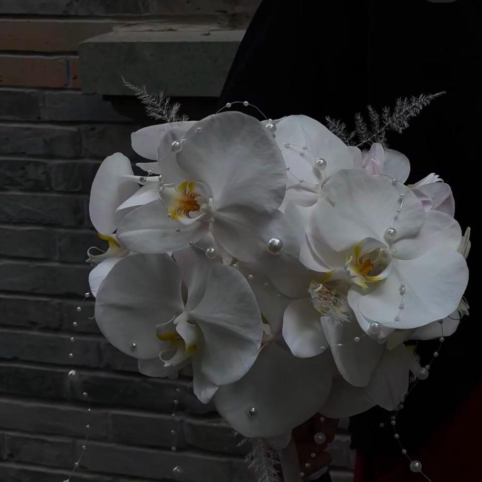 觅棠花栈