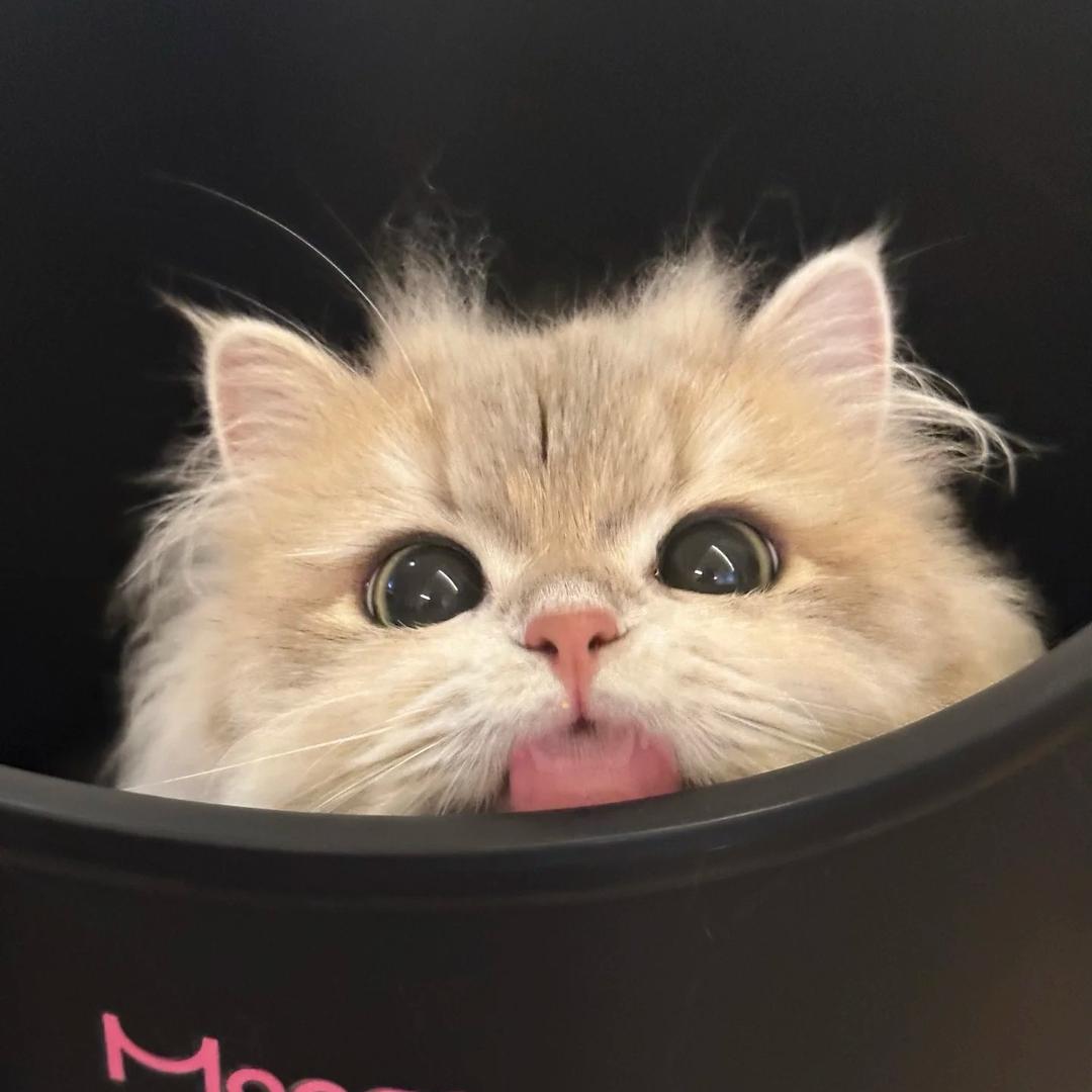 Nnnnn.