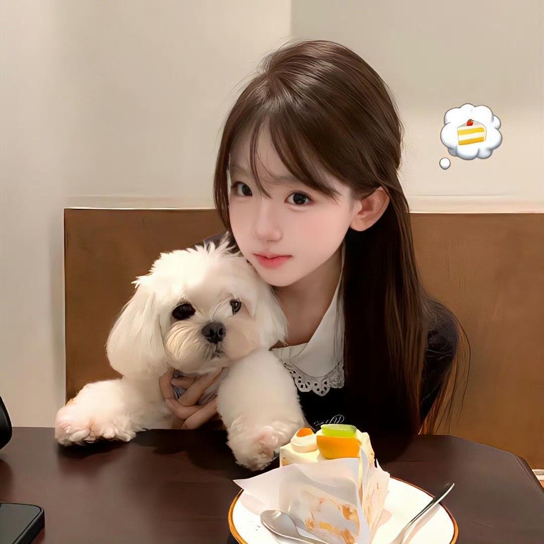 ㅤㅤㅤㅤㅤ扶老奶奶闯红灯